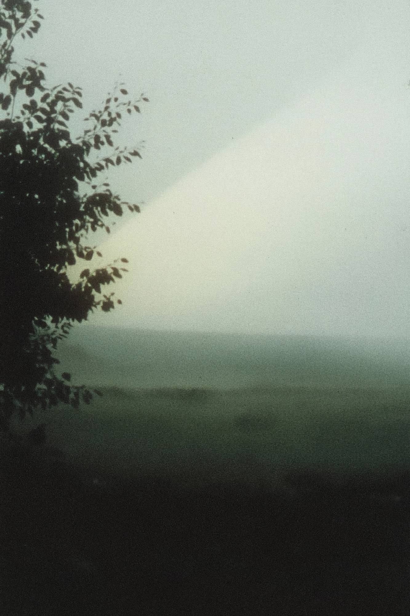 North Fog